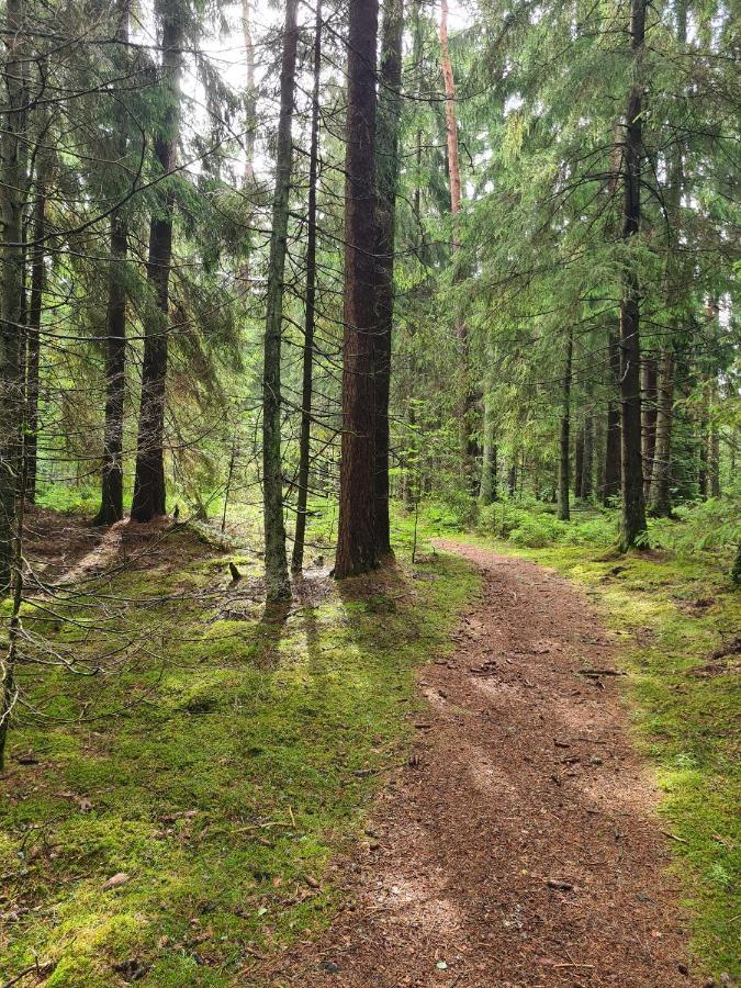 Stuga I Naturen Simlangsdalen Exterior photo