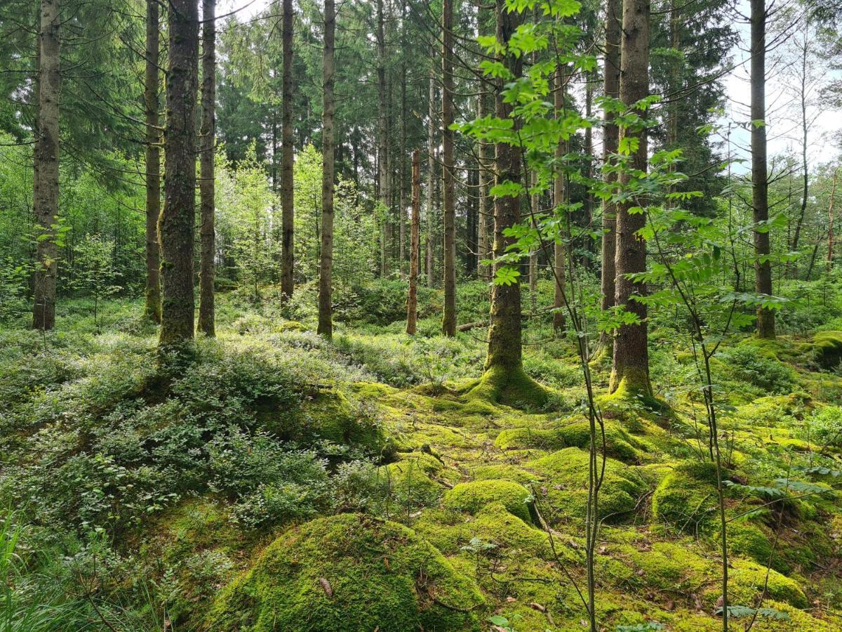 Stuga I Naturen Simlangsdalen Exterior photo