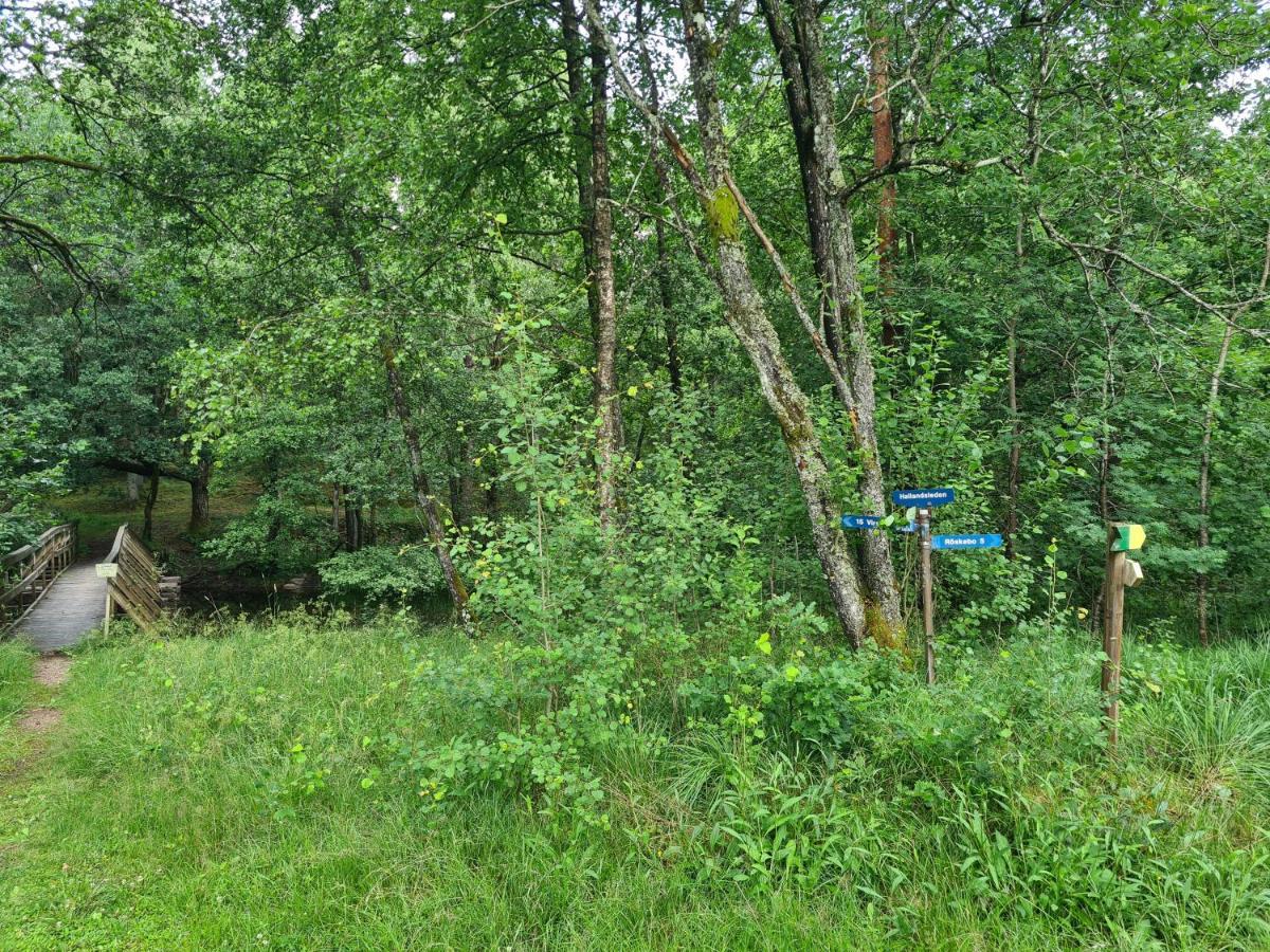 Stuga I Naturen Simlangsdalen Exterior photo
