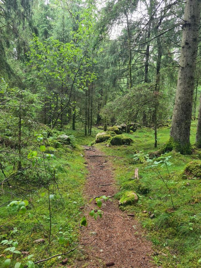 Stuga I Naturen Simlangsdalen Exterior photo