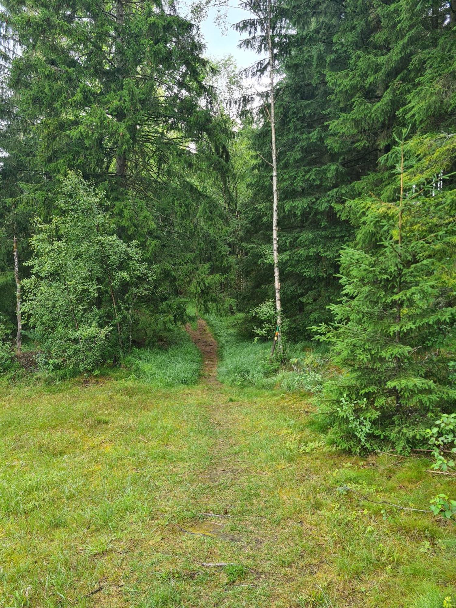 Stuga I Naturen Simlangsdalen Exterior photo